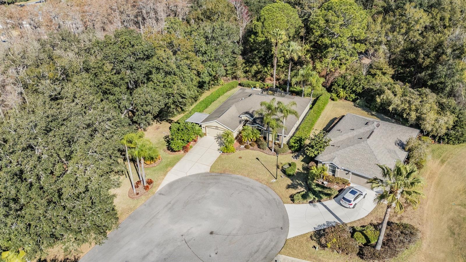 10133 COLLAR DR, SAN ANTONIO, FL, 33576