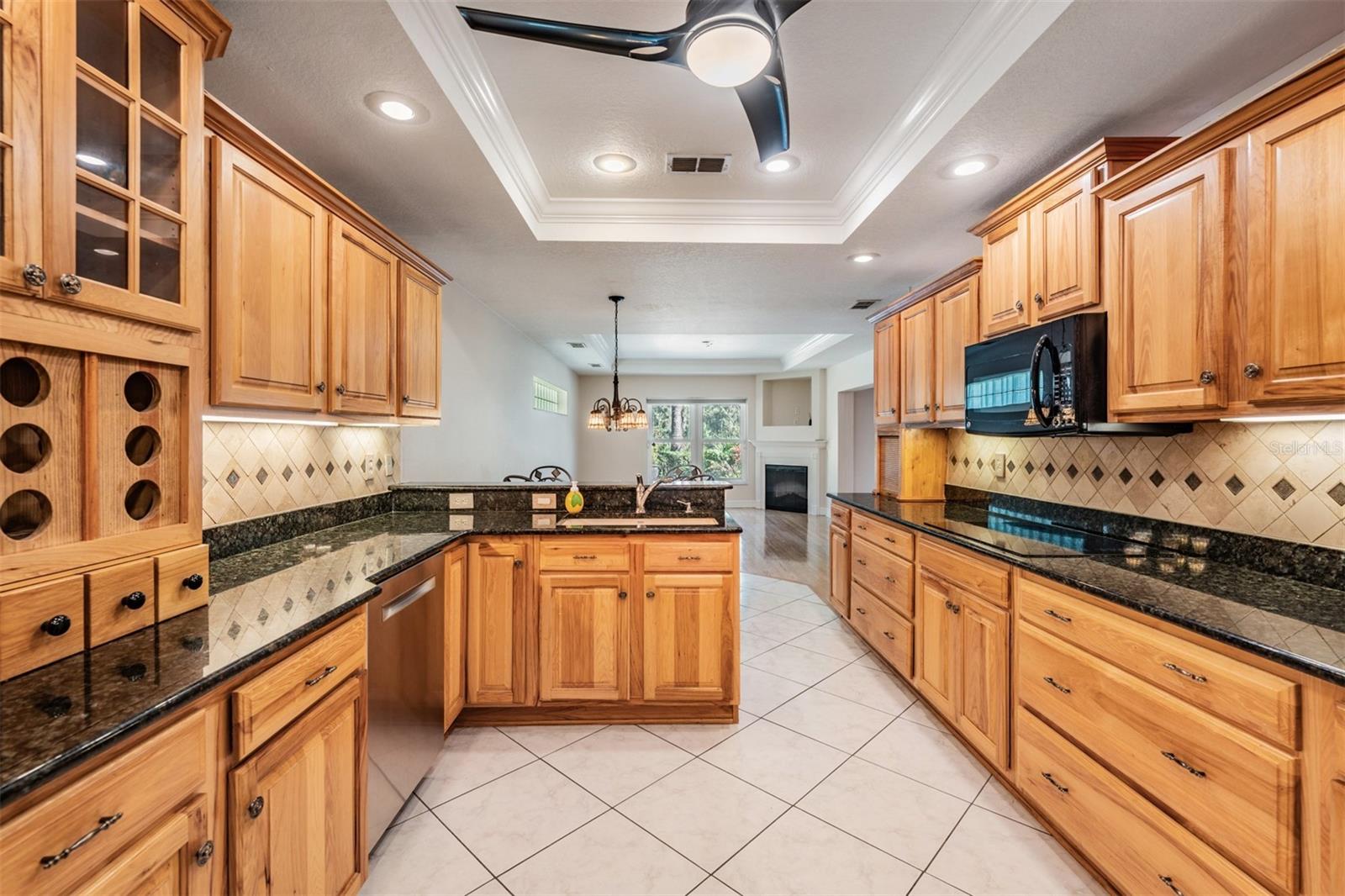 10133 COLLAR DR, SAN ANTONIO, FL, 33576