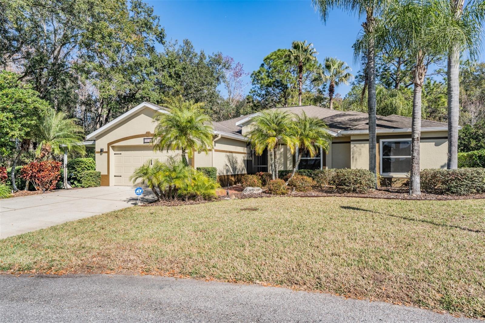 10133 COLLAR DR, SAN ANTONIO, FL, 33576