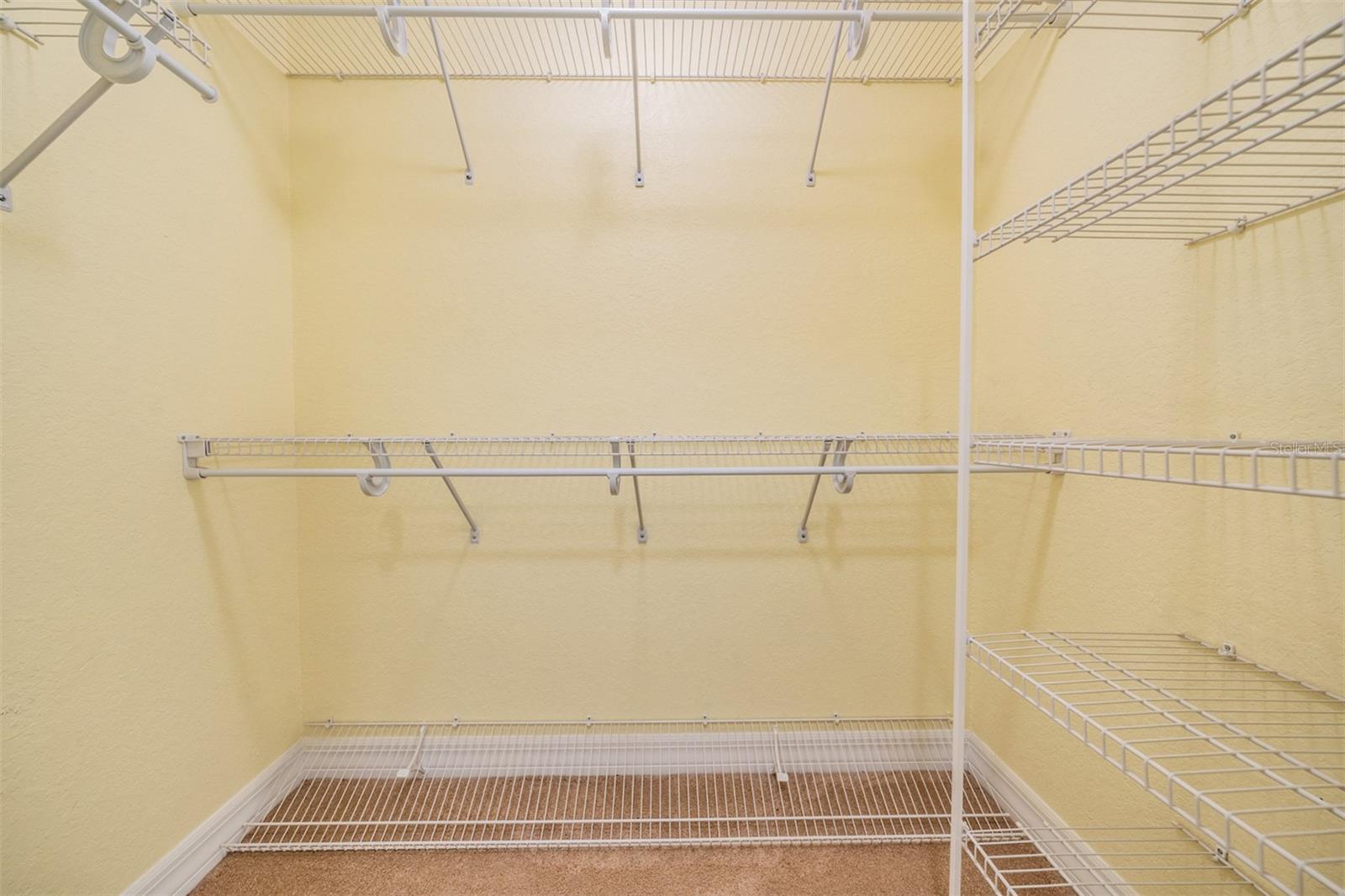 10133 COLLAR DR, SAN ANTONIO, FL, 33576