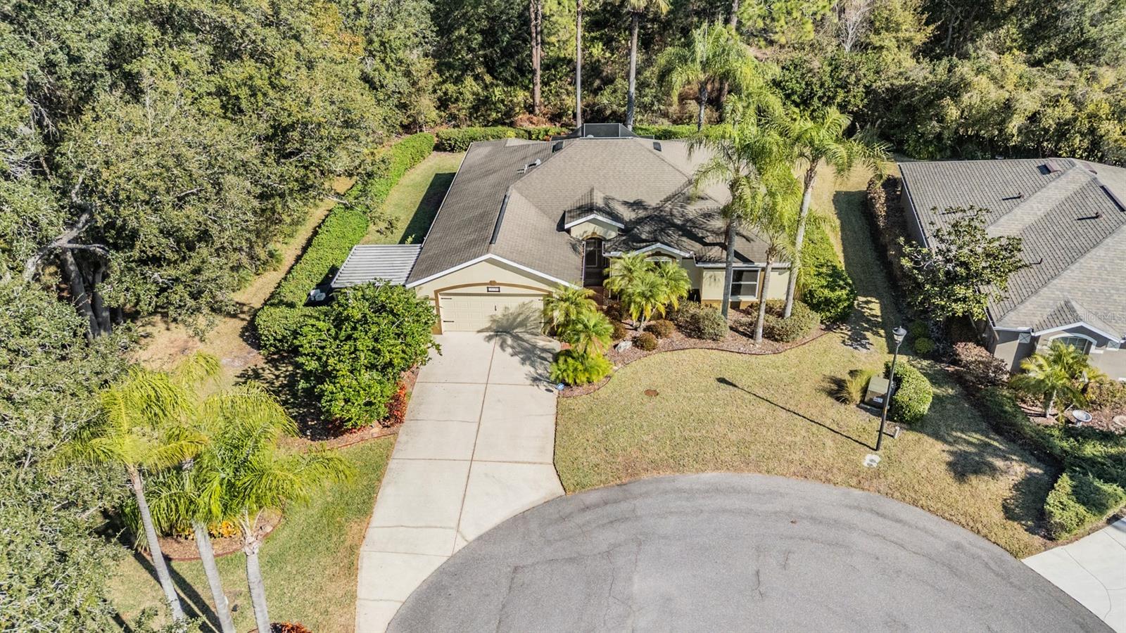 10133 COLLAR DR, SAN ANTONIO, FL, 33576