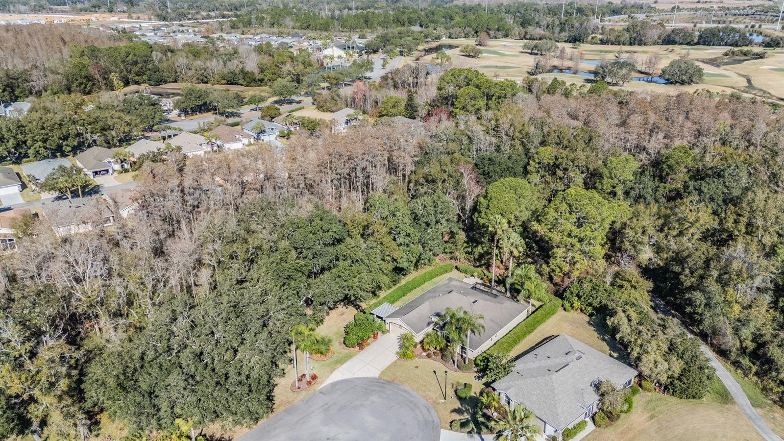 10133 COLLAR DR, SAN ANTONIO, FL, 33576