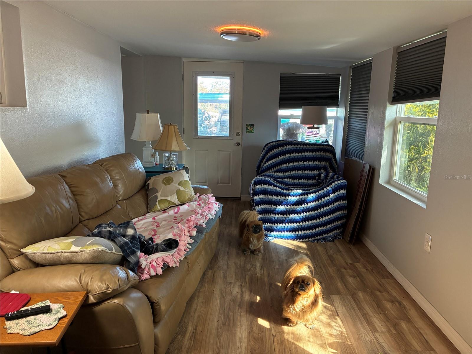 3896 PICCIOLA RD #213, FRUITLAND PARK, FL, 34731