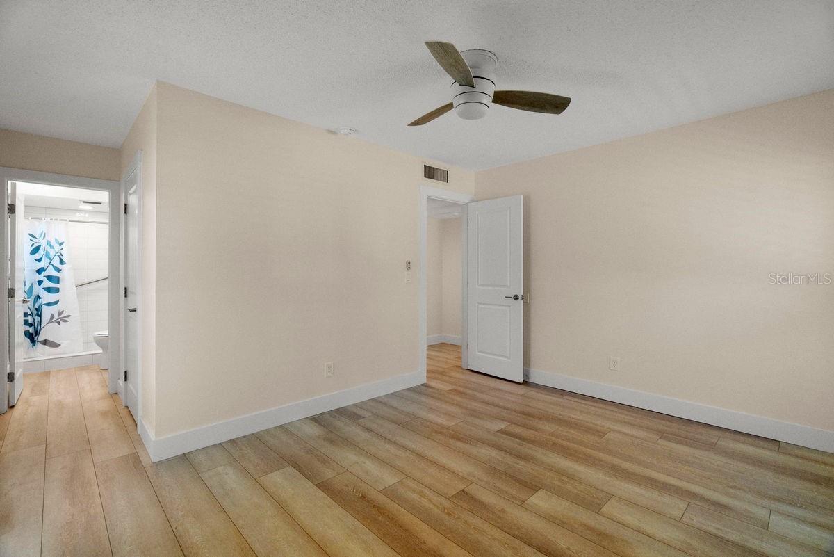 Master Entry / Bath Access