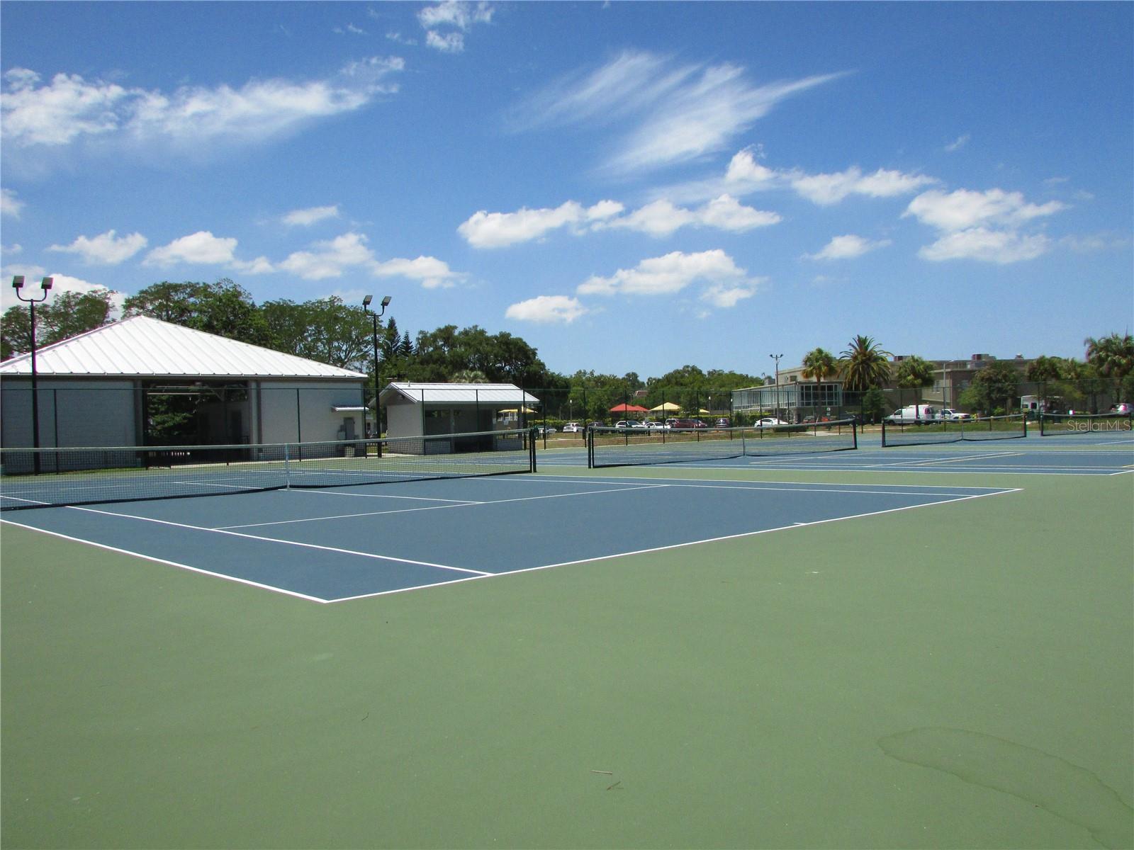 2459 COLUMBIA DR #37, CLEARWATER, FL, 33763