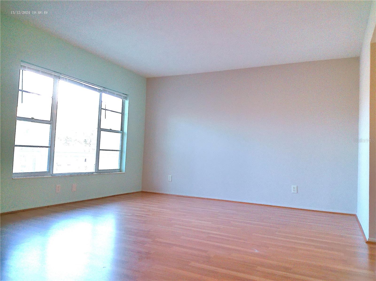 2459 COLUMBIA DR #37, CLEARWATER, FL, 33763