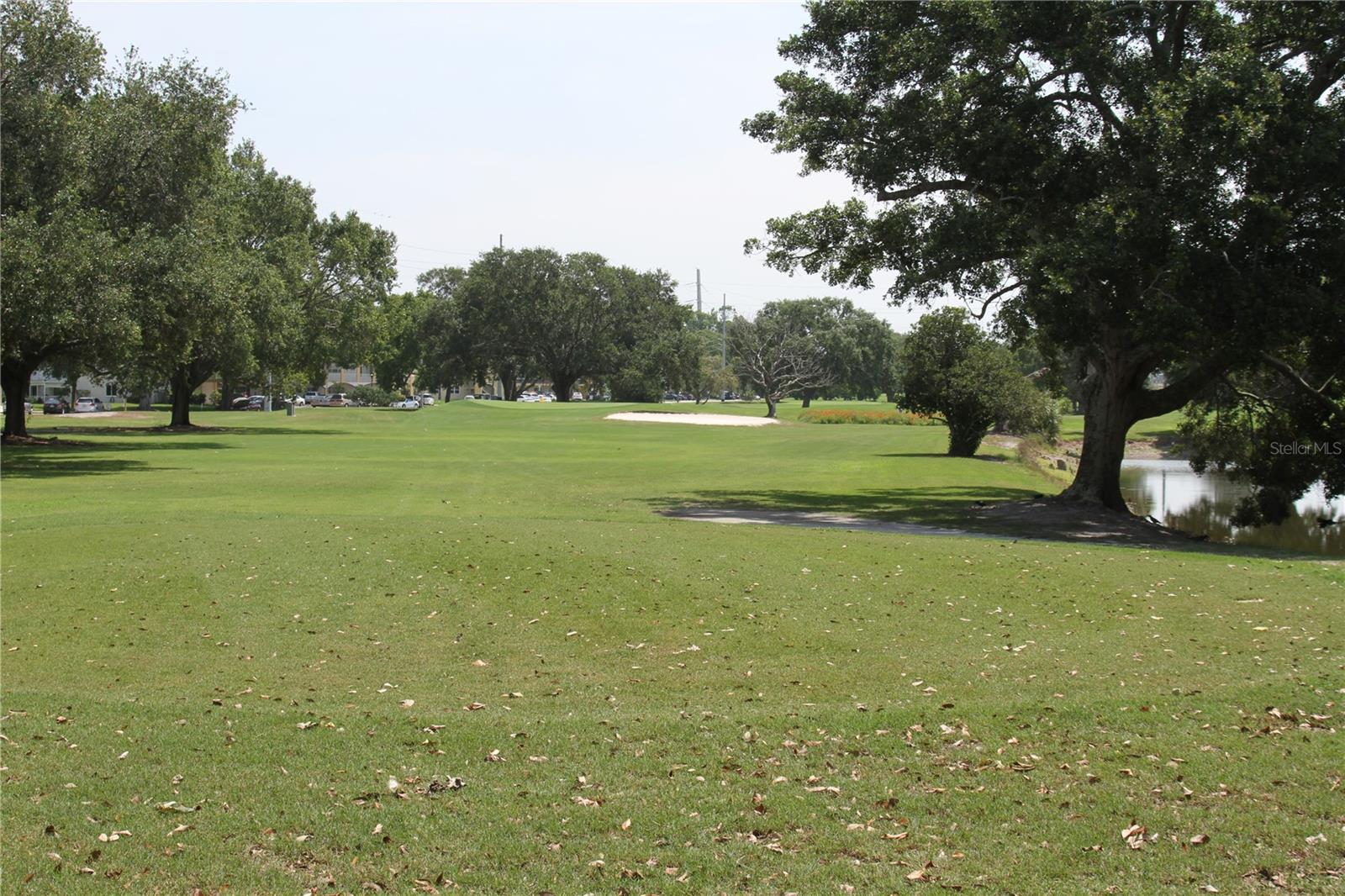 2459 COLUMBIA DR #37, CLEARWATER, FL, 33763