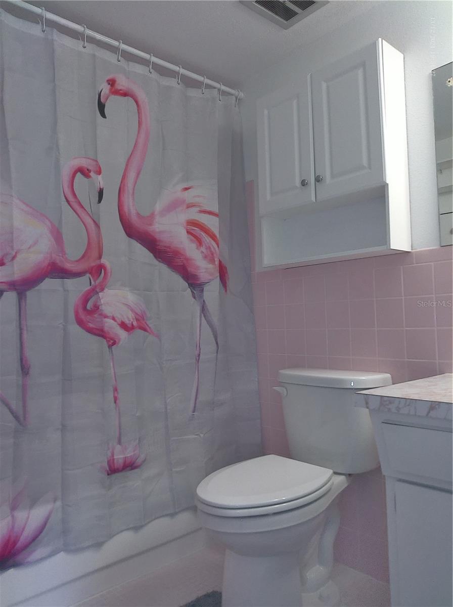 2459 COLUMBIA DR #37, CLEARWATER, FL, 33763