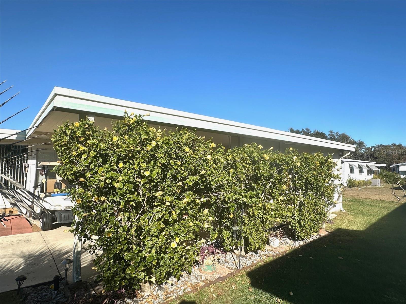 428 PALO VERDE DR, LEESBURG, FL, 34748