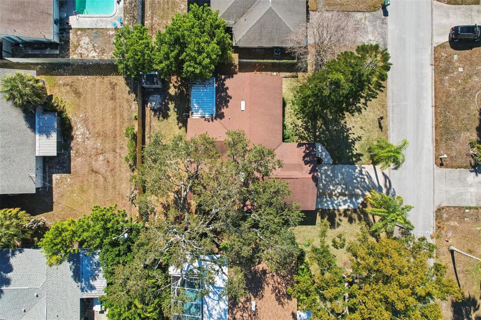 1975 TEMPLE TER, CLEARWATER, FL, 33764