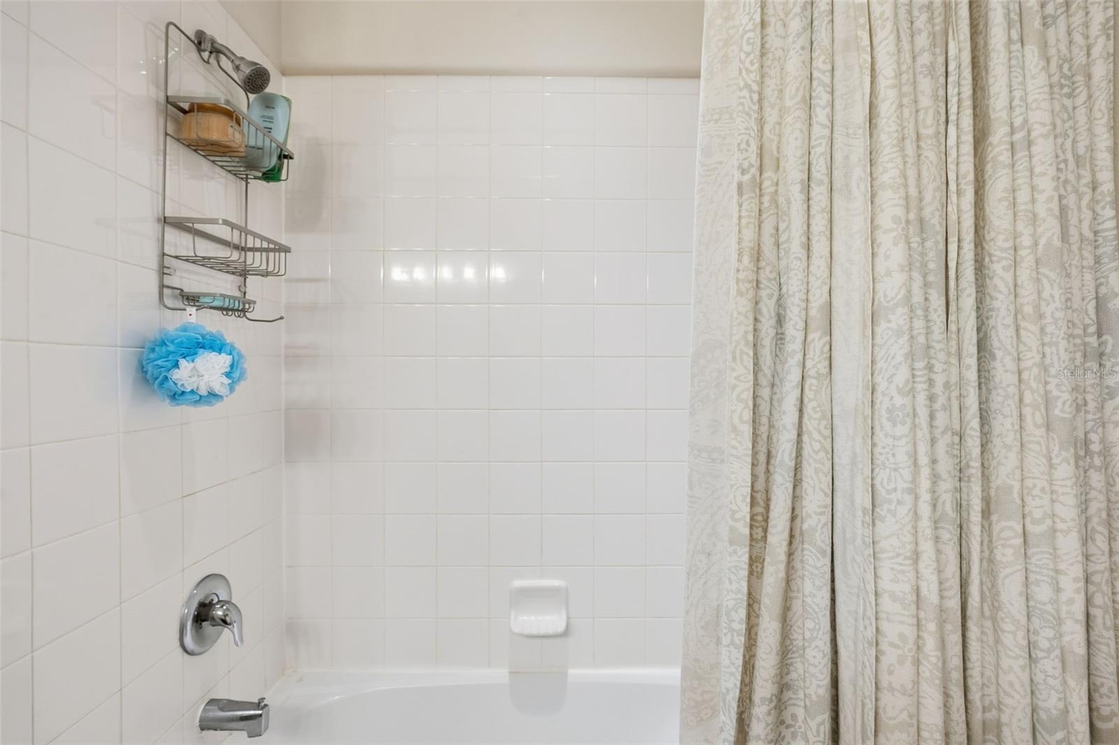 12122 RAMBLING STREAM DR, RIVERVIEW, FL, 33569