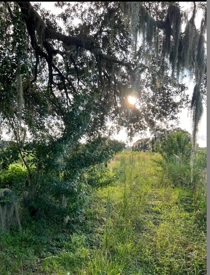 13029 S COUNTY ROAD 39, LITHIA, FL, 33547