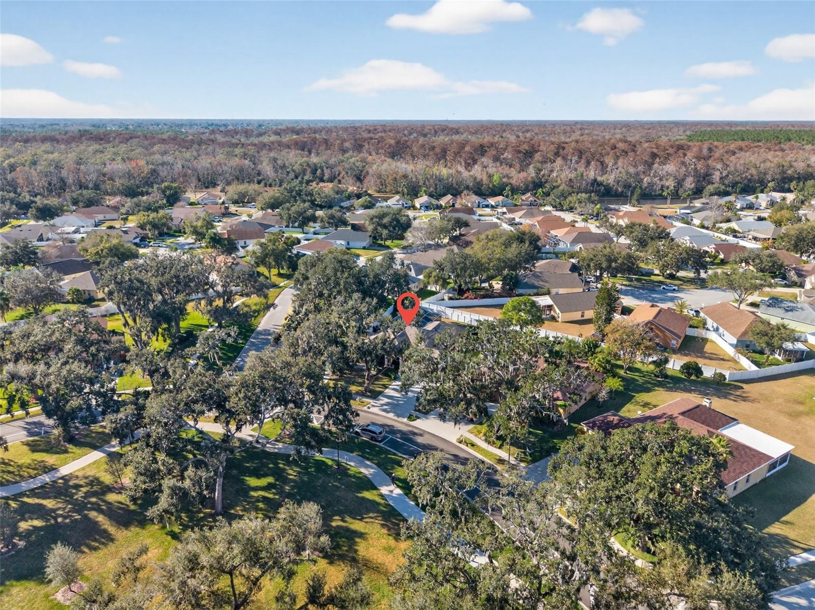 3533 MOSSY OAK CIR, LAND O LAKES, FL, 34639