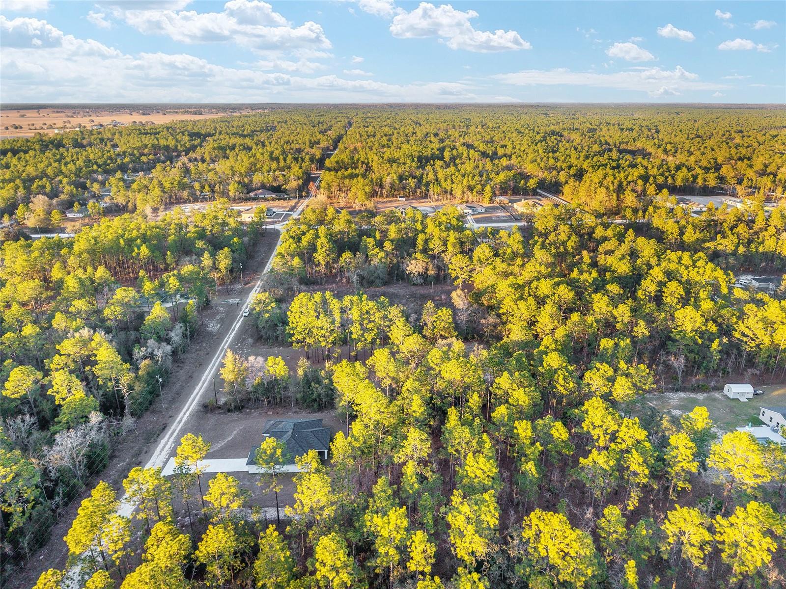 8725 SW 136TH TER, DUNNELLON, FL, 34432