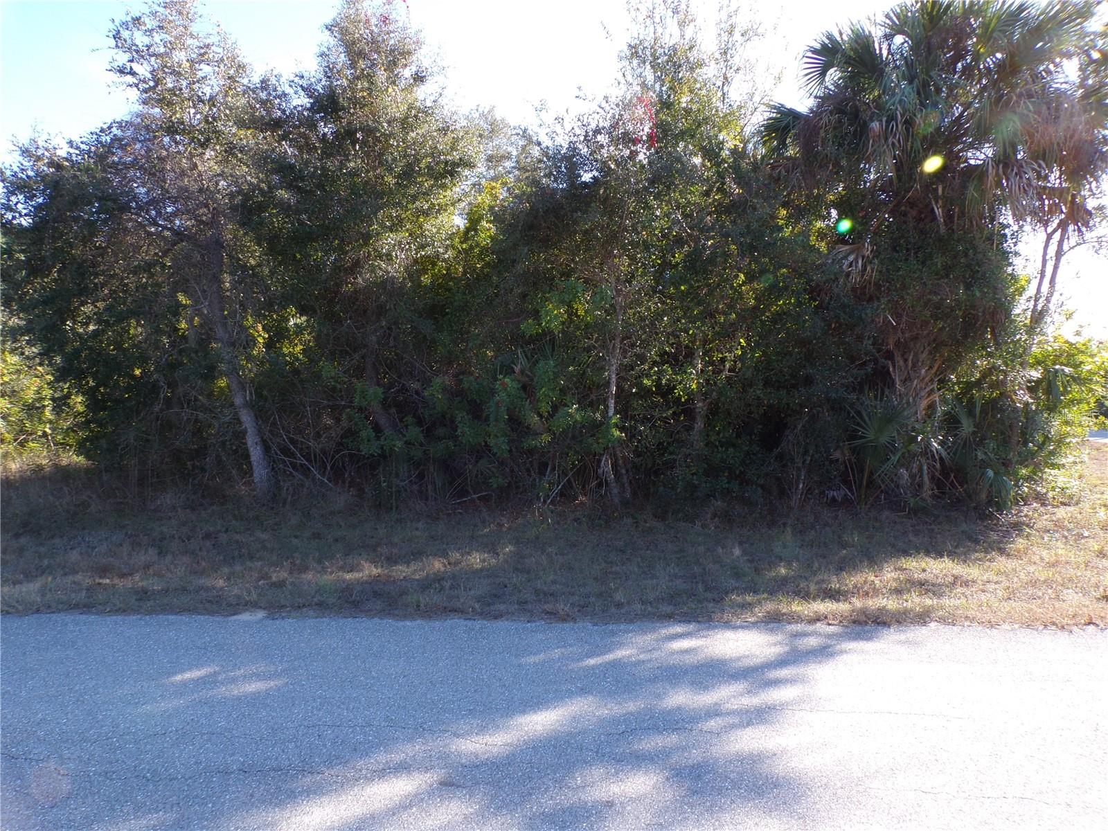 20019 ARNOLD AVE, PORT CHARLOTTE, FL, 33954