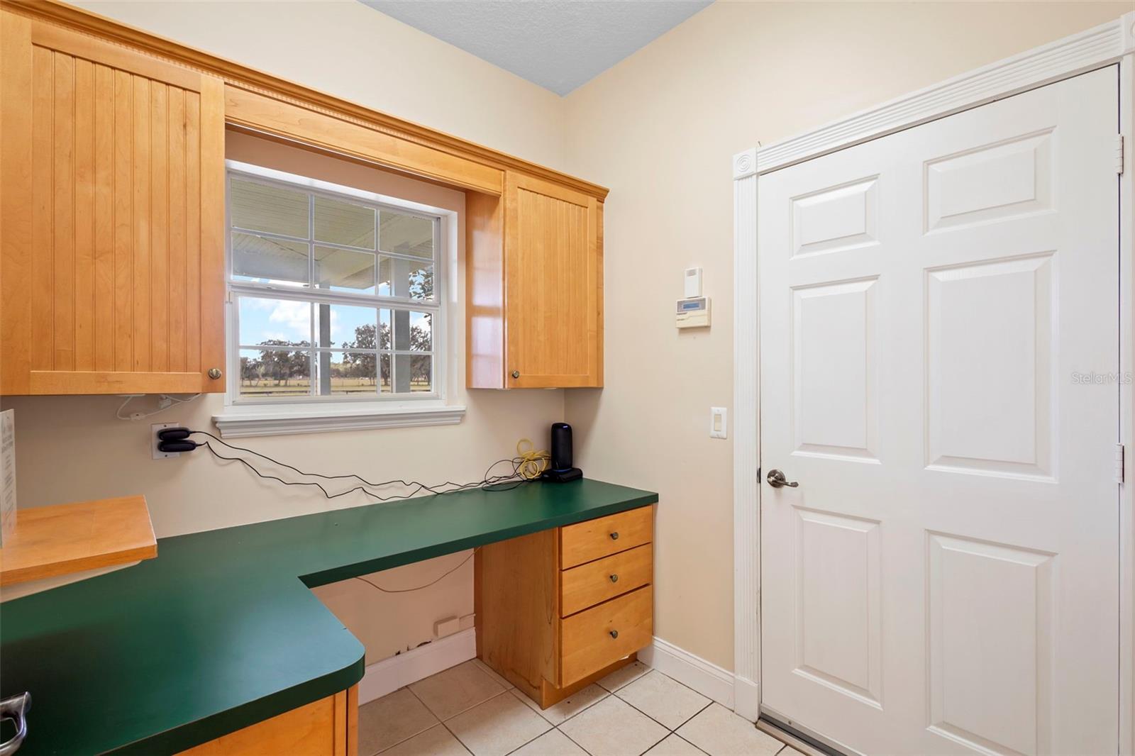 42554 MAGGIE JONES RD, PAISLEY, FL, 32767