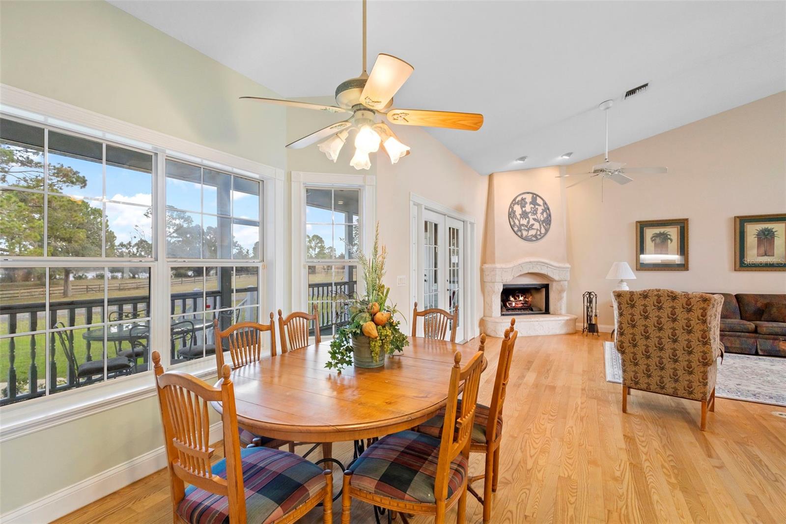 42554 MAGGIE JONES RD, PAISLEY, FL, 32767