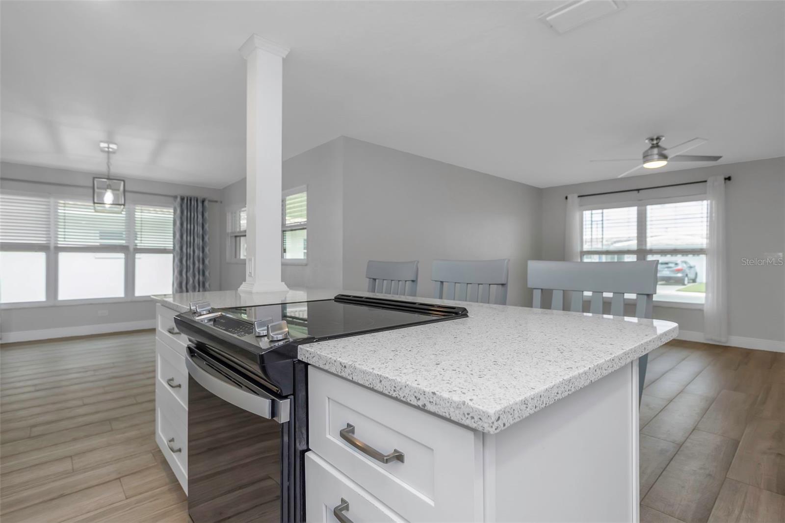 10032 39TH WAY N, PINELLAS PARK, FL, 33782