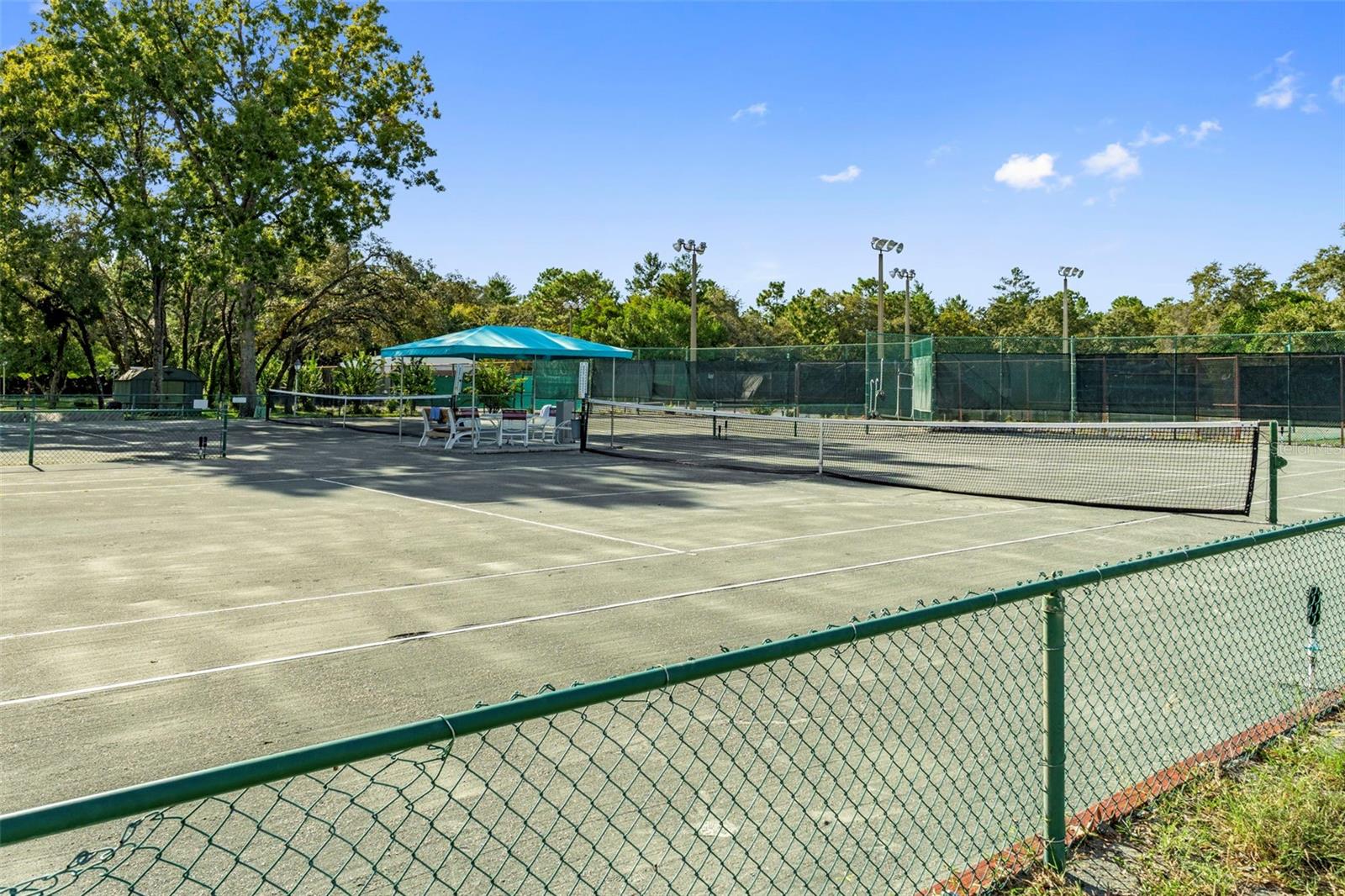 31 W BYRSONIMA LOOP, HOMOSASSA, FL, 34446