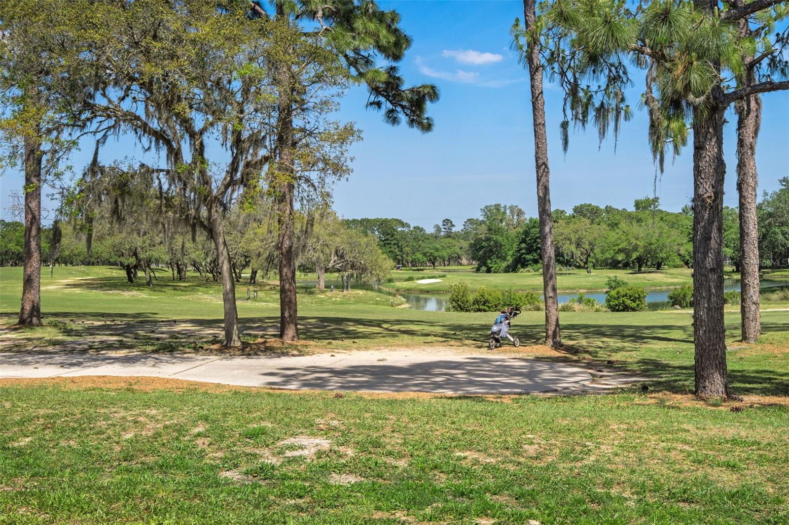 31 W BYRSONIMA LOOP, HOMOSASSA, FL, 34446