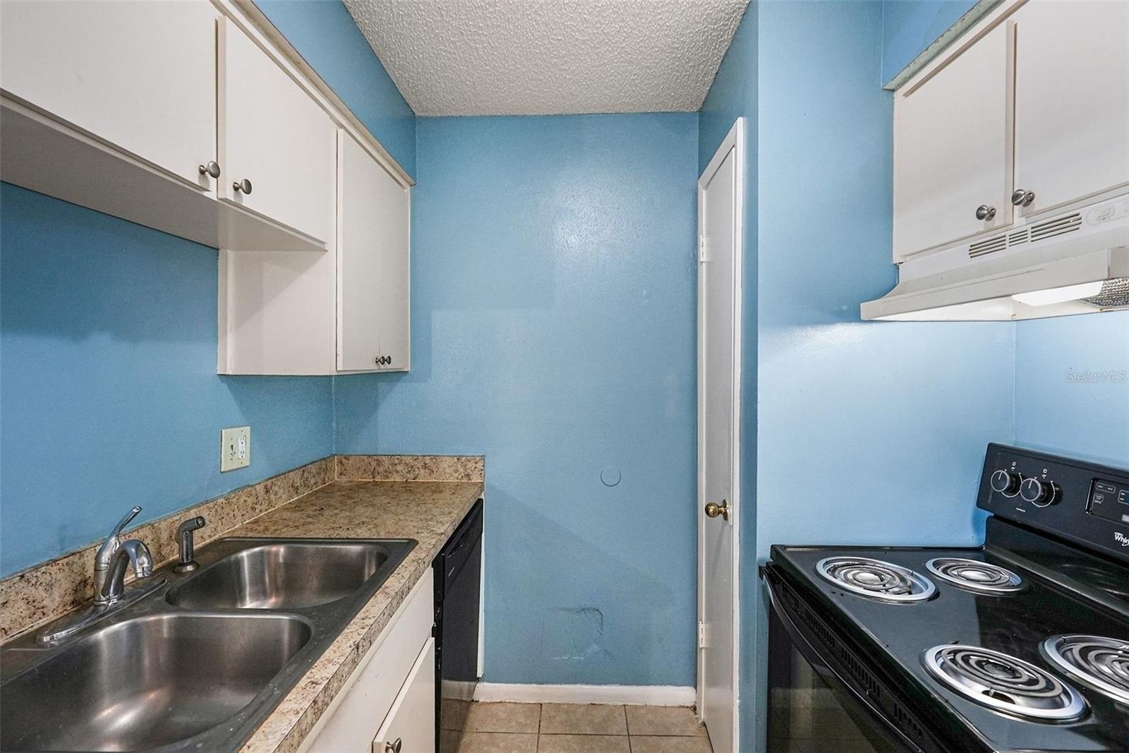 550 GOLDEN RAINTREE PL #550, BRANDON, FL, 33510