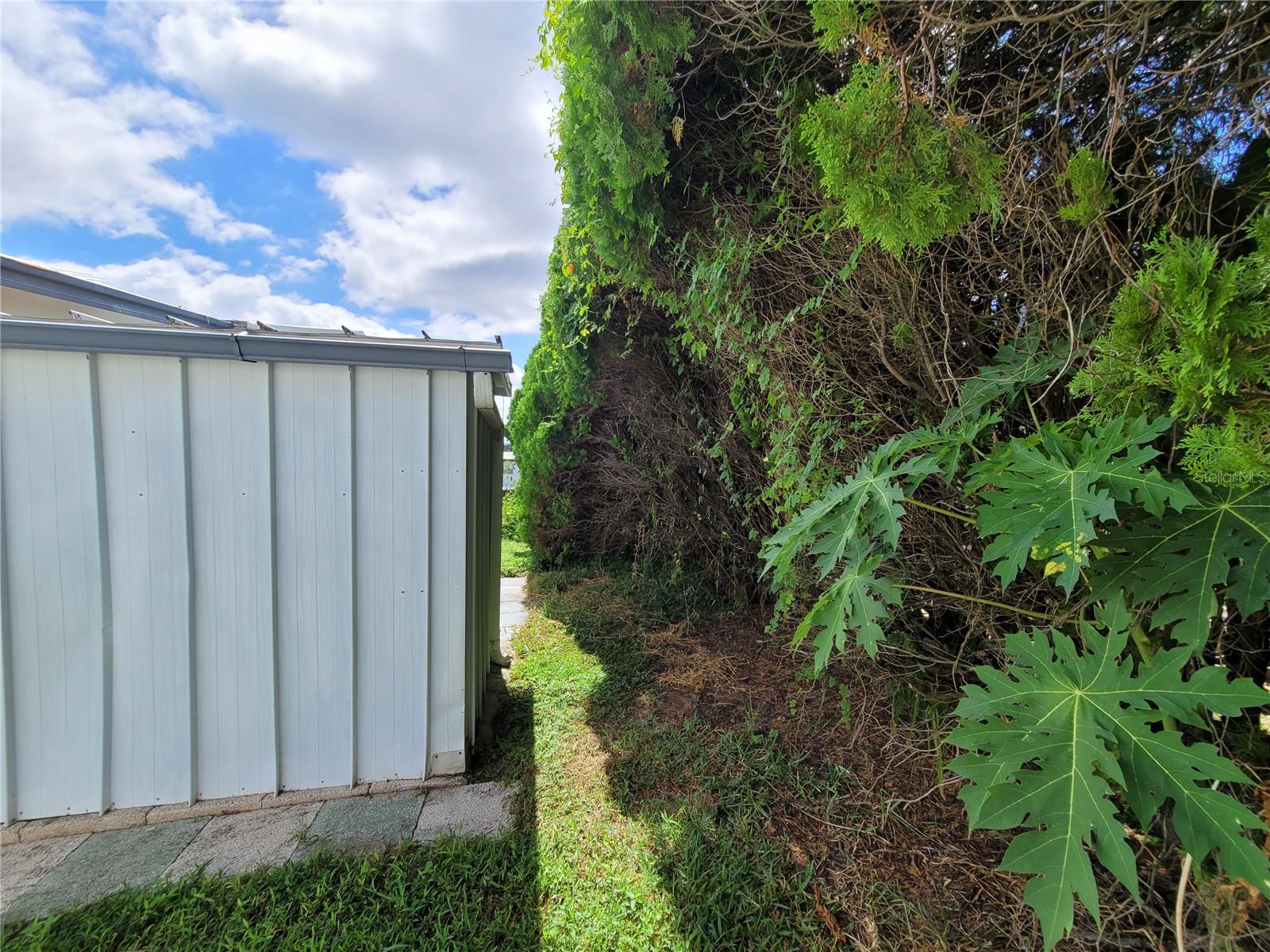 7209 EL MEYERS ST, ZEPHYRHILLS, FL, 33541