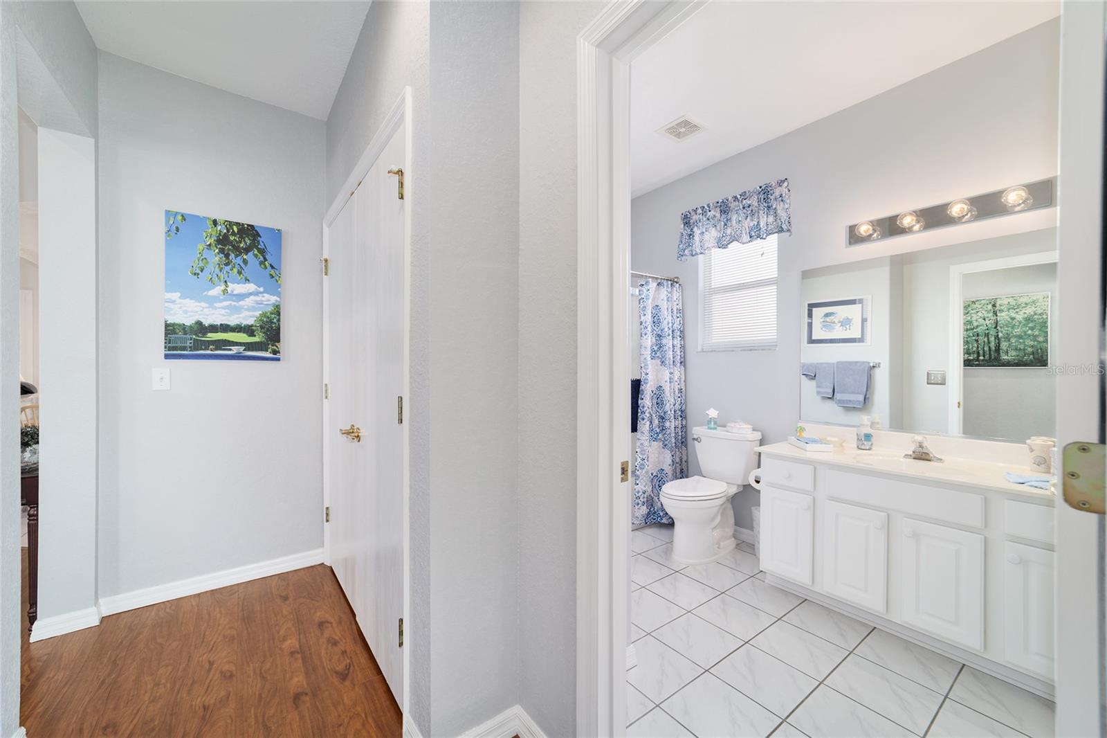 13146 SE 93RD TERRACE RD, SUMMERFIELD, FL, 34491