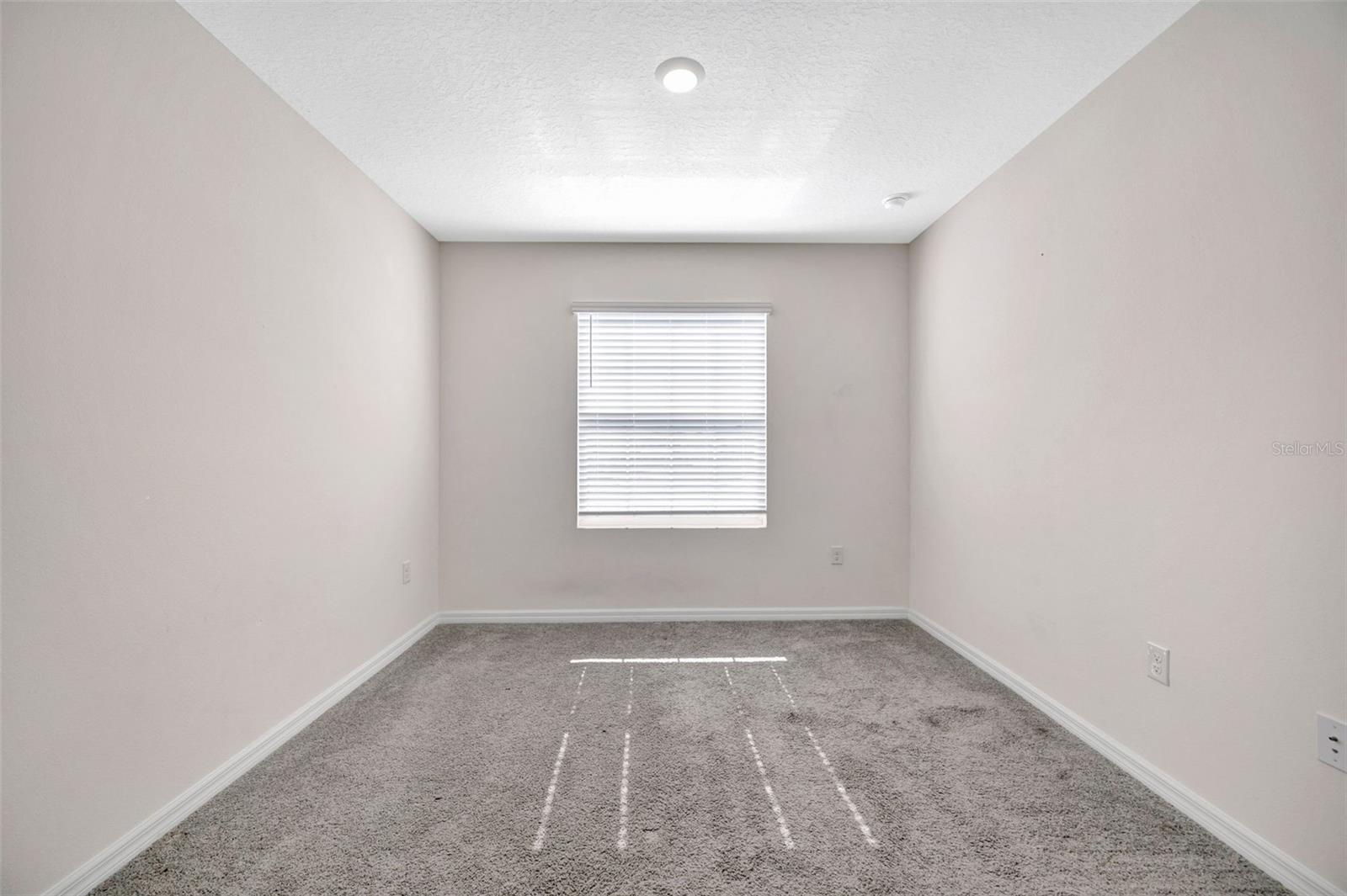 32395 TURTLE GRACE LOOP, WESLEY CHAPEL, FL, 33545