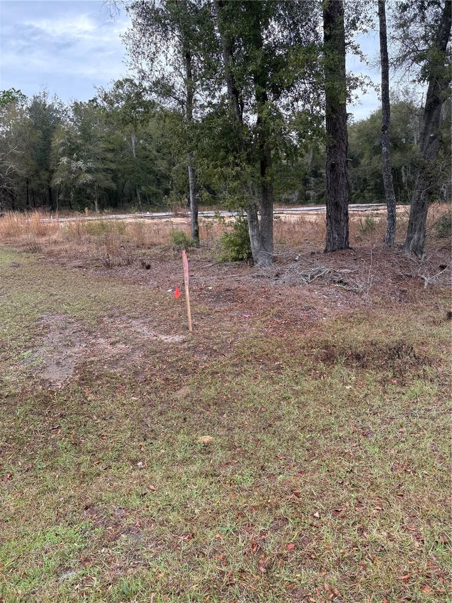 SW 202ND CT &SW 63RD PL, OCALA, FL, 34471