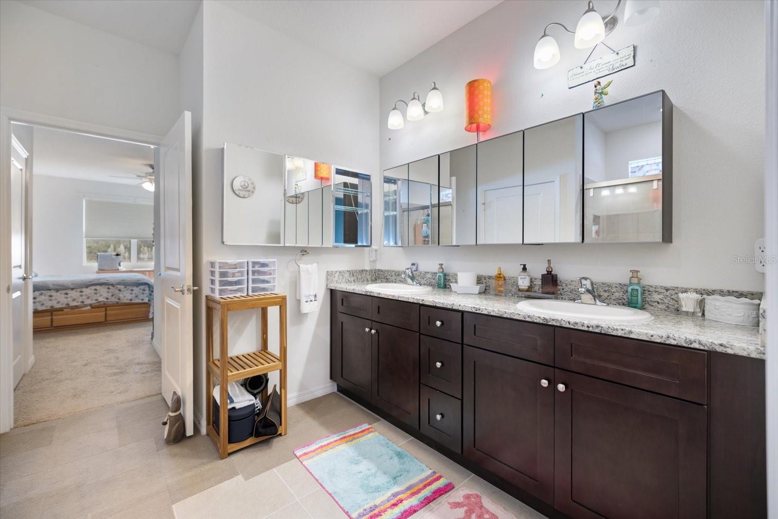 4123 MOSSY LIMB CT, PALMETTO, FL, 34221