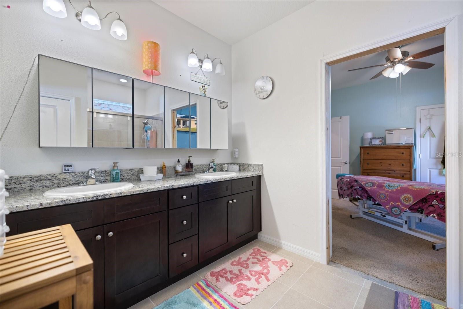 4123 MOSSY LIMB CT, PALMETTO, FL, 34221