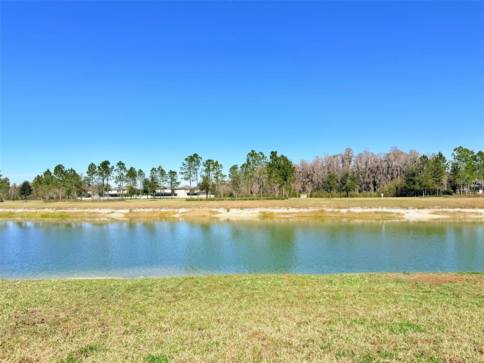 10844 ROLLING MOSS RD, TAMPA, FL, 33647