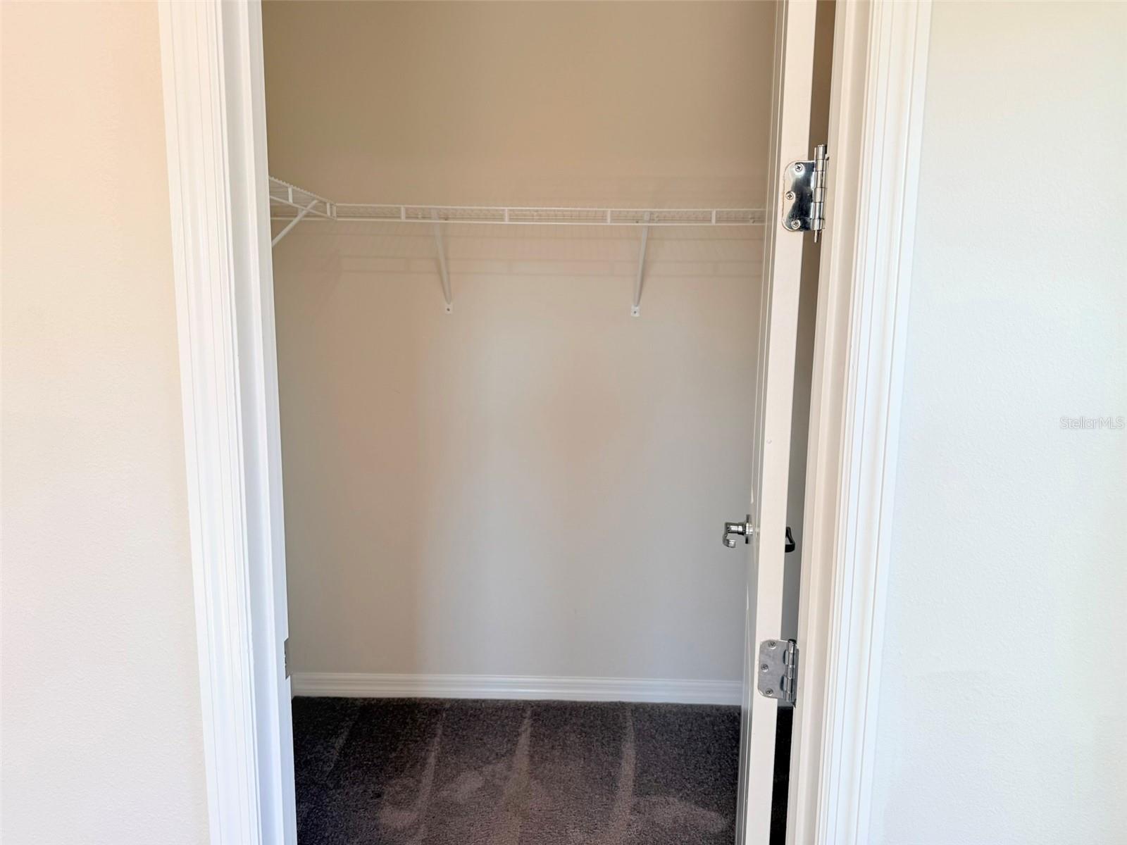 10844 ROLLING MOSS RD, TAMPA, FL, 33647