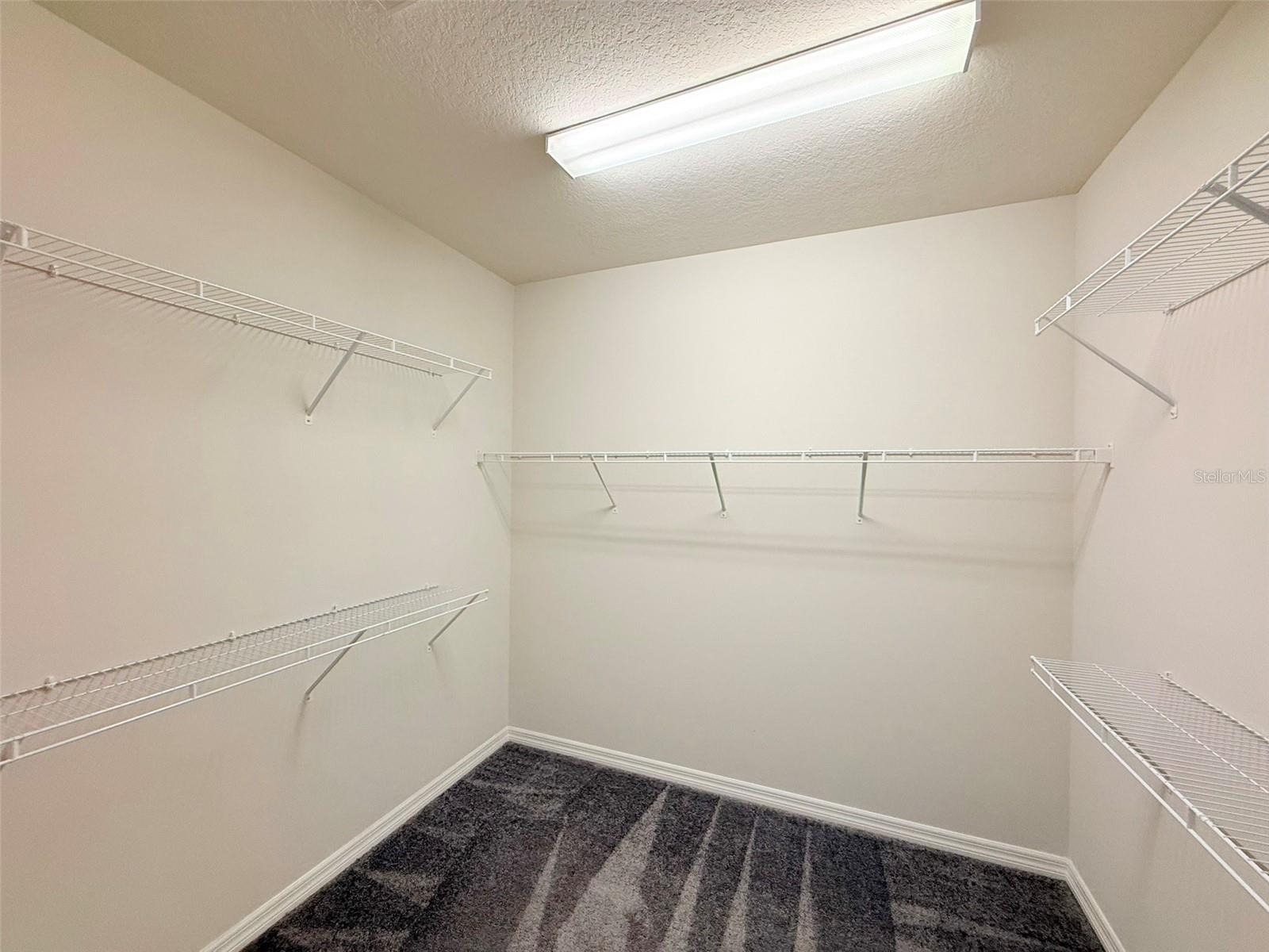 10844 ROLLING MOSS RD, TAMPA, FL, 33647