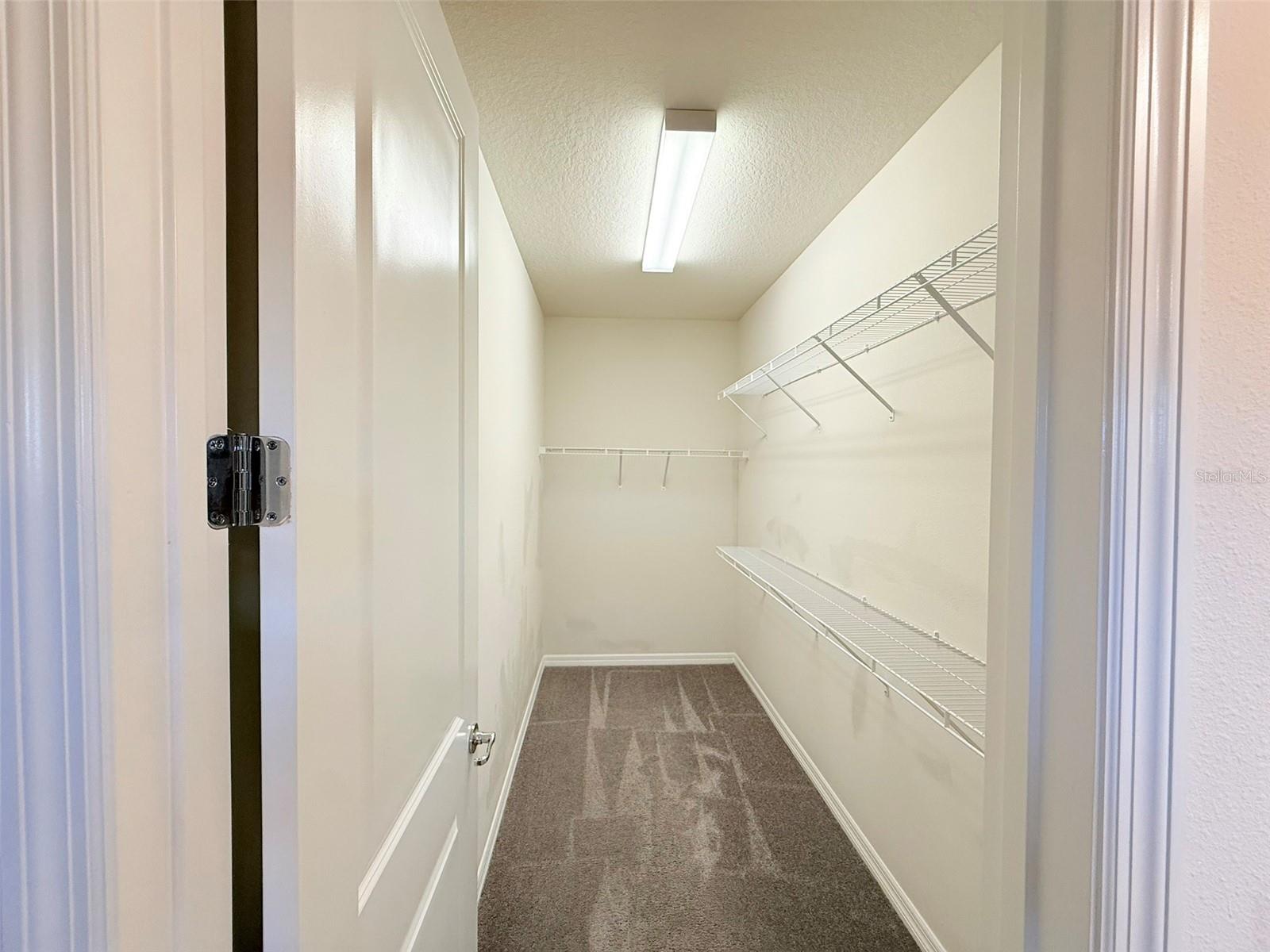 10844 ROLLING MOSS RD, TAMPA, FL, 33647