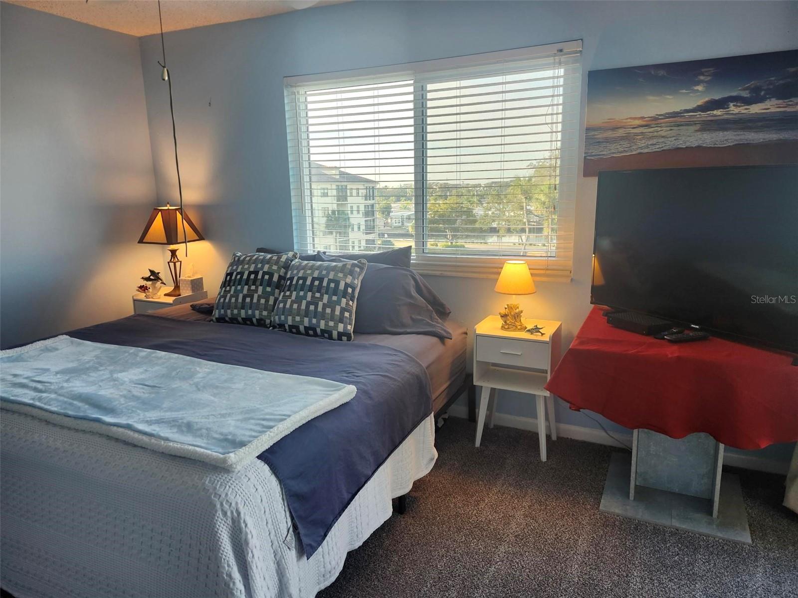 19029 US HIGHWAY 19 N #9-305, CLEARWATER, FL, 33764