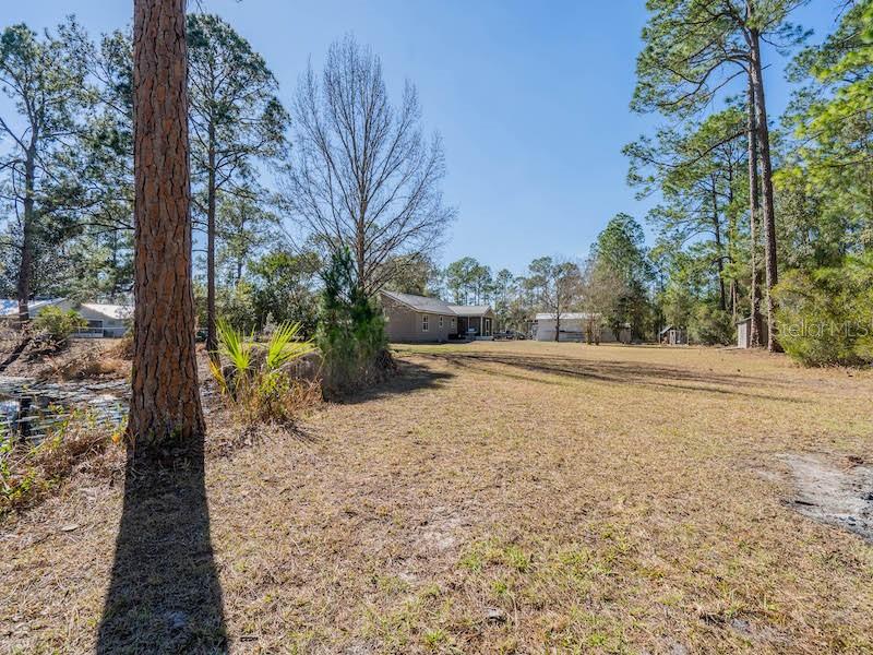 14641 NE 154TH ST, FORT MC COY, FL, 32134