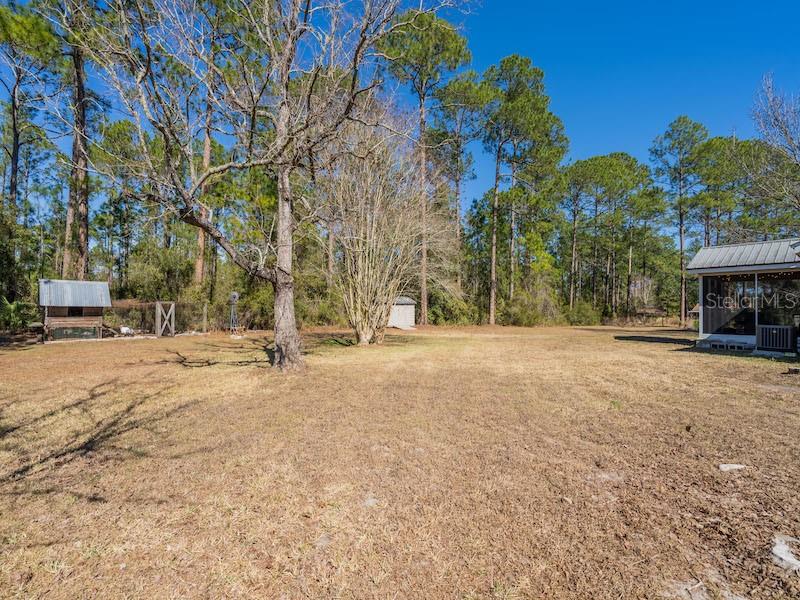 14641 NE 154TH ST, FORT MC COY, FL, 32134