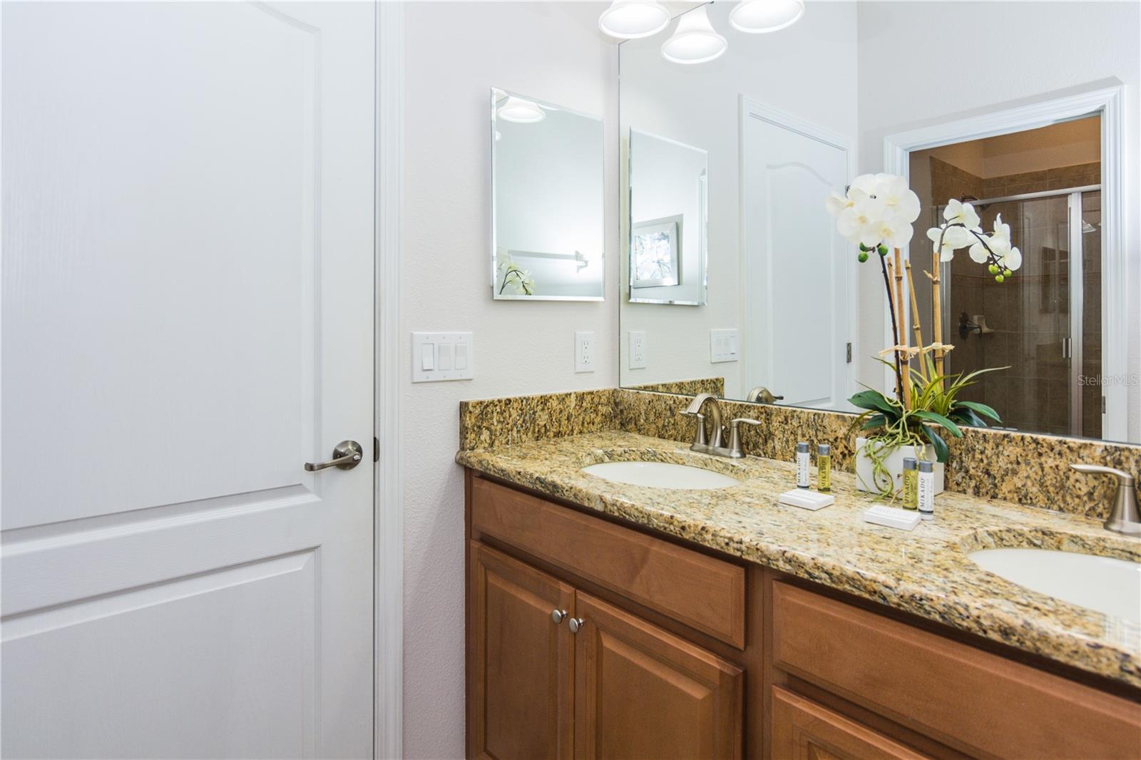 2963 BANANA PALM DR, KISSIMMEE, FL, 34747