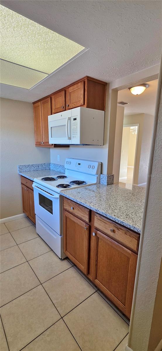 9515 FIELDVIEW CIR, THONOTOSASSA, FL, 33592