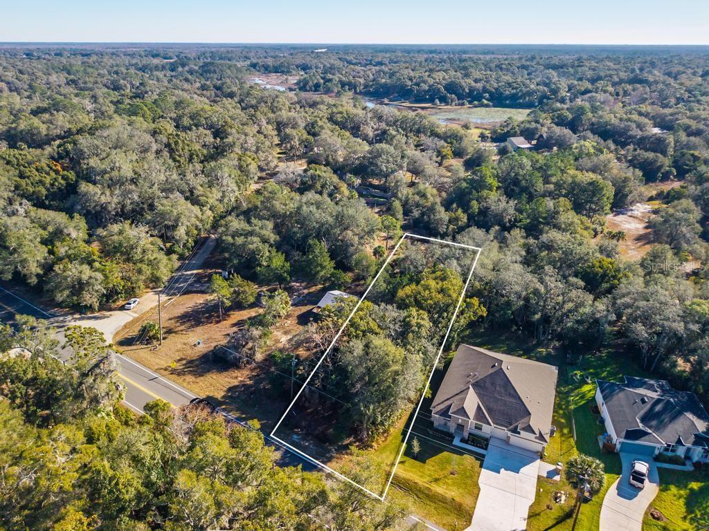 31060 LOCHMORE CIR, SORRENTO, FL, 32776