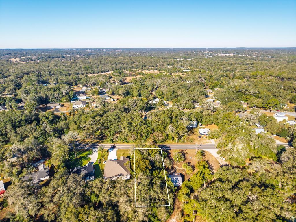 31060 LOCHMORE CIR, SORRENTO, FL, 32776