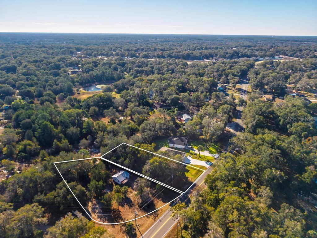 31060 LOCHMORE CIR, SORRENTO, FL, 32776