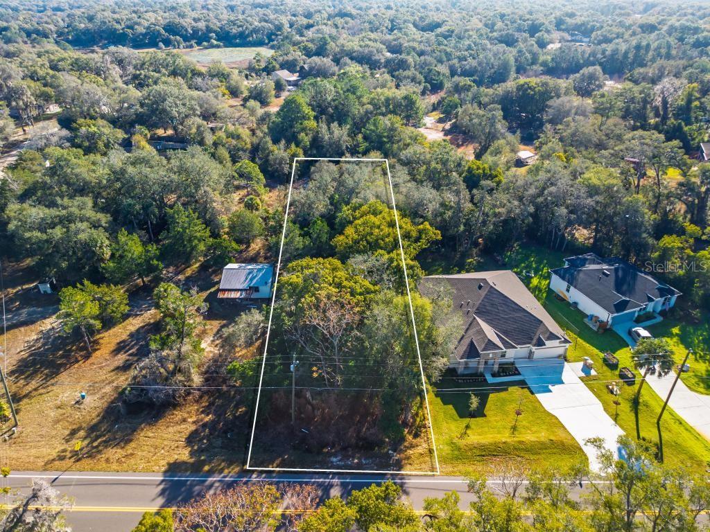 31060 LOCHMORE CIR, SORRENTO, FL, 32776