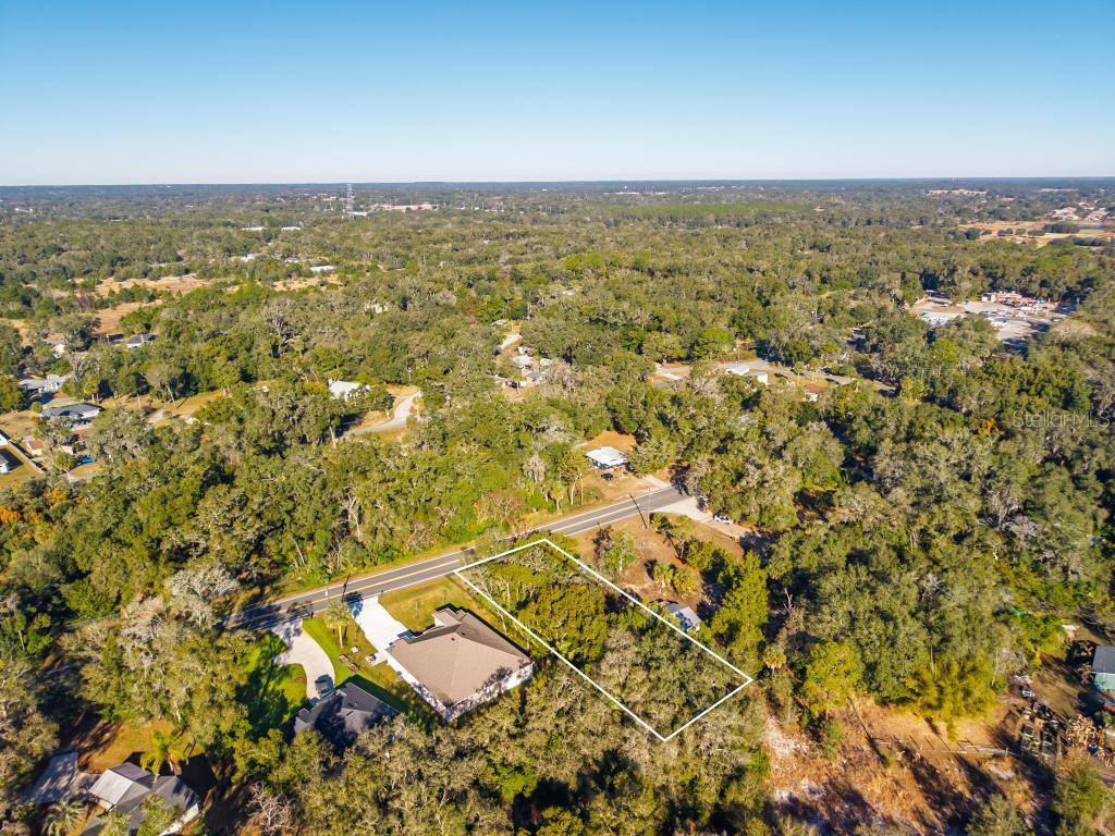 31060 LOCHMORE CIR, SORRENTO, FL, 32776