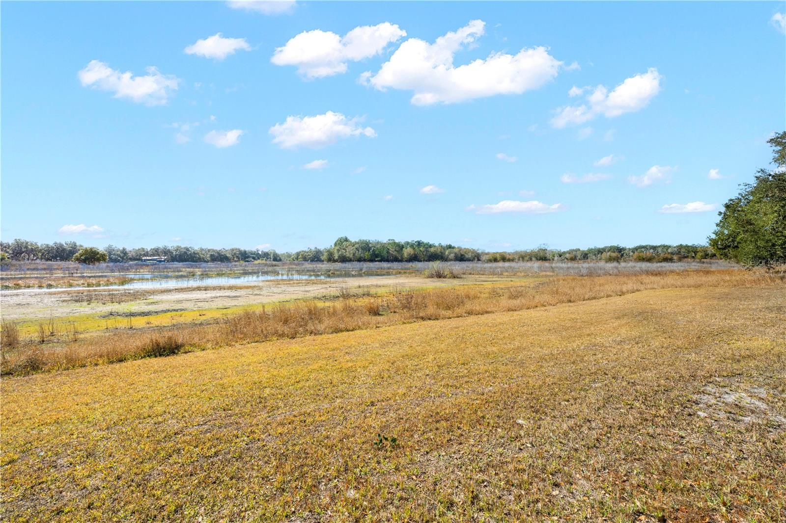 SHOREWOOD DR, DADE CITY, FL, 33523