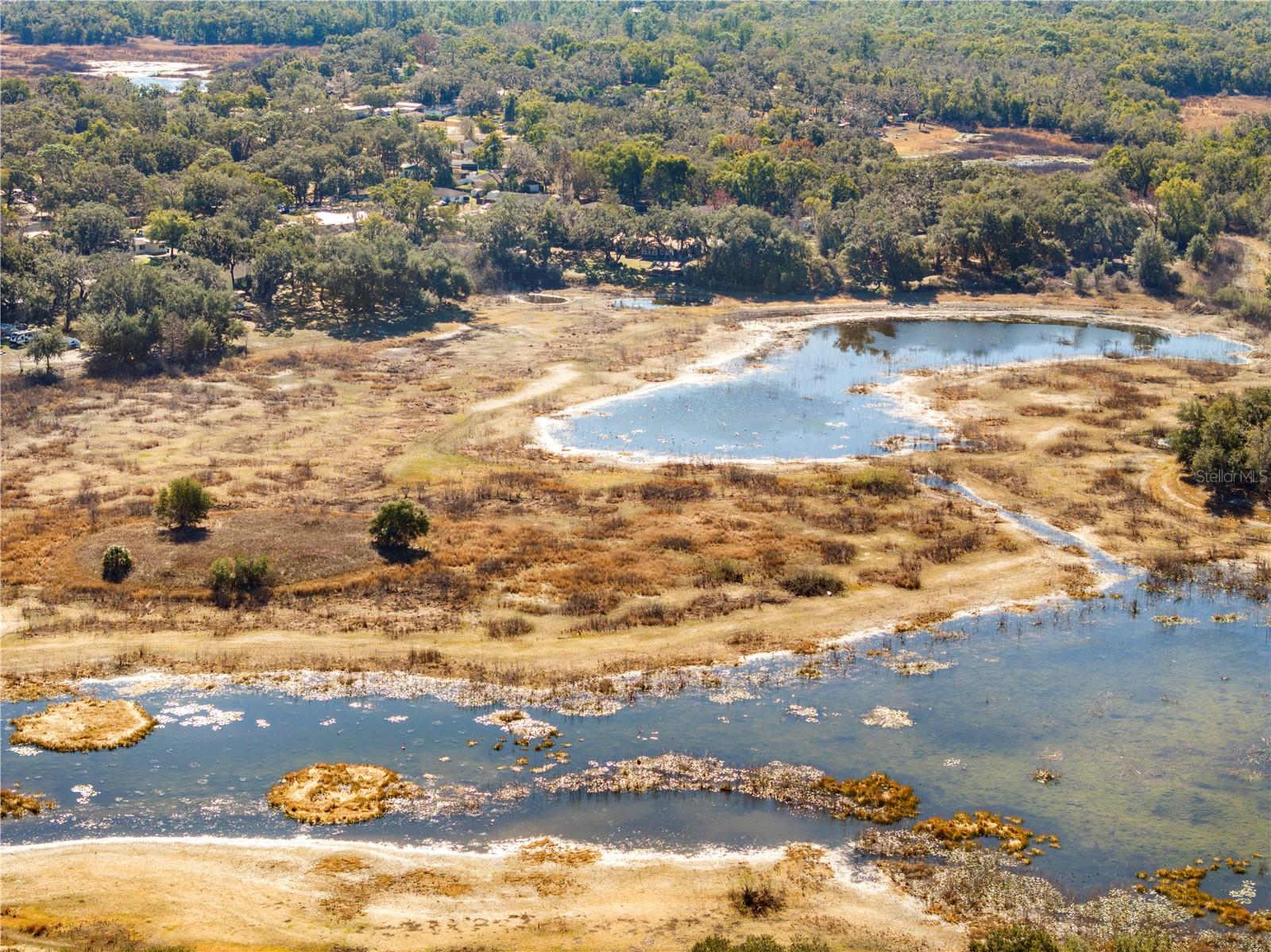 SHOREWOOD DR, DADE CITY, FL, 33523