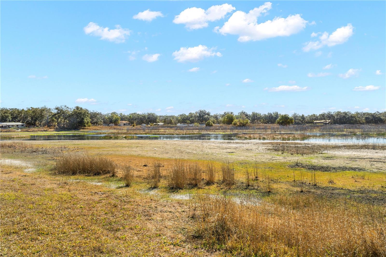 SHOREWOOD DR, DADE CITY, FL, 33523