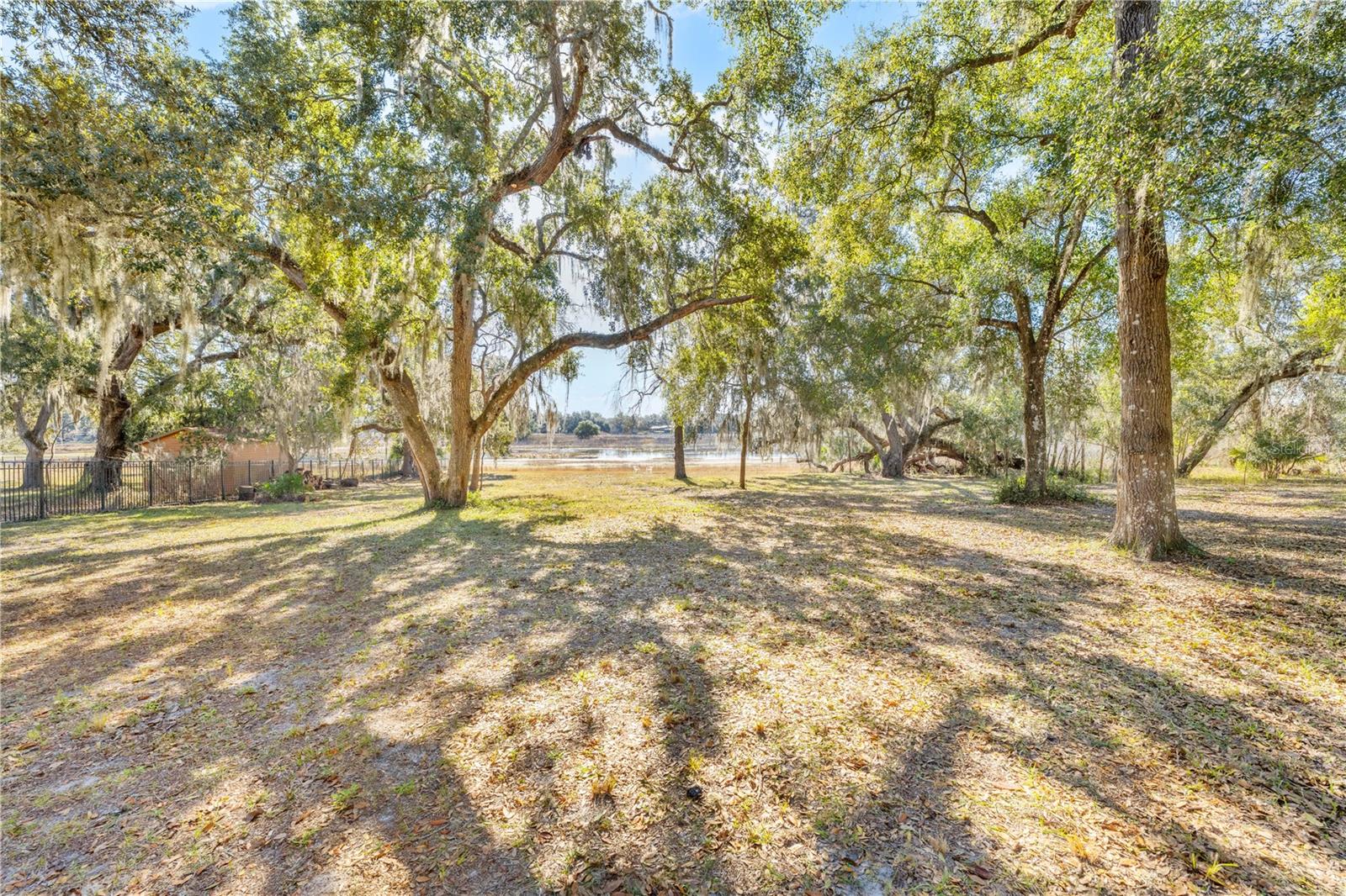 SHOREWOOD DR, DADE CITY, FL, 33523