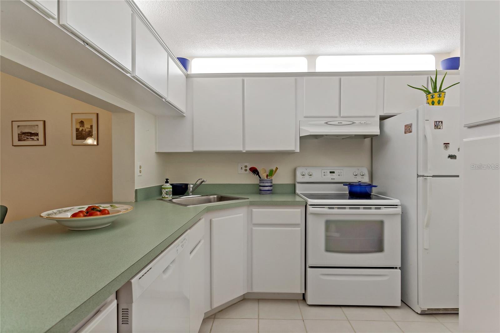 3161 LAKE PINE WAY S #F3, TARPON SPRINGS, FL, 34688